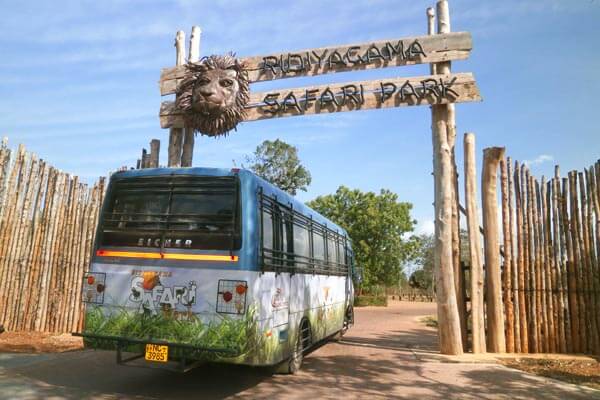 Ridiyagama safari park Gallery 1