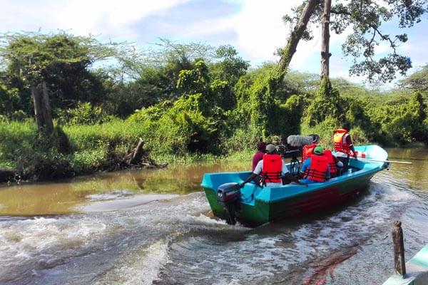 Walawe River Jungle Safari